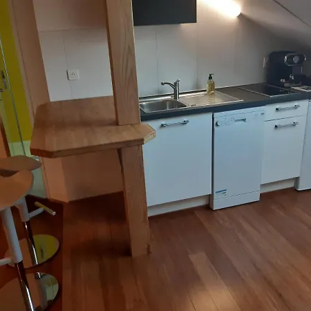 Loft Avec Charme Et Authenticite Gasthuis 3*